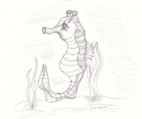 Little seahorse